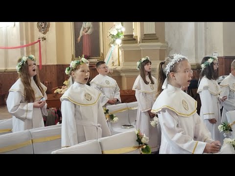 Видео: 29.05.2025 Урачыстасць Унебаўшэсця Пана