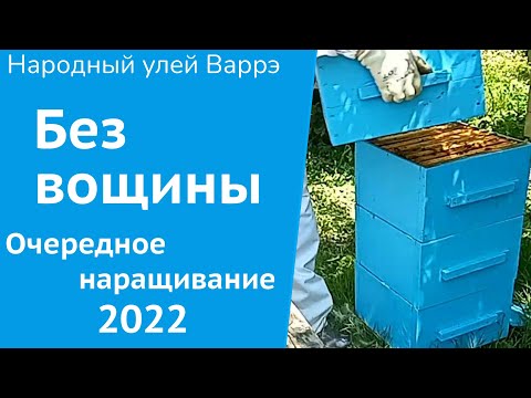 Видео: Народный улей Варрэ. Наращиваю без вощины | А что, так можно было?