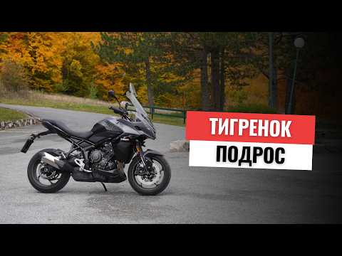 Видео: Triumph Tiger Sport 800 - выбор неочевиден 