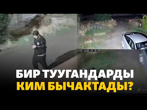 Видео: Жаңы конуштагы өлүм: бир туугандарды ким бычактады?