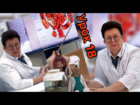 Видео: Урок 18. Что делать при болезнях, которые ни самому посмотреть, ни другим показать(трещины геморрой)