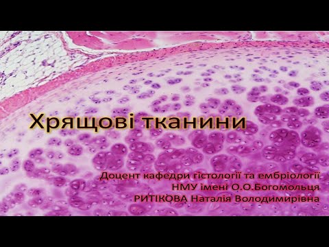 Видео: Хрящові тканини