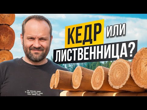 Видео: ИЩЕМ САМЫЙ ТОПОВЫЙ СРУБ: СРАВНИВАЕМ КЕДР И ЛИСТВЕННИЦУ!