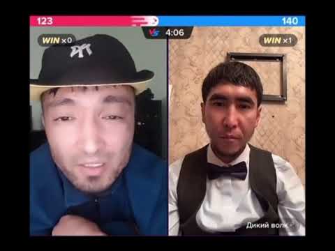 Видео: Дикий волк vs Каныбек