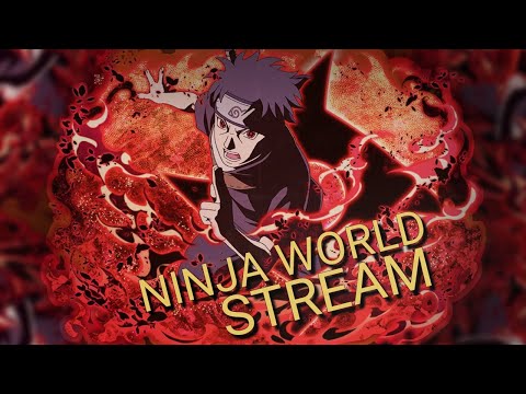 Видео: Ninja world Снежная сакура Обзор.