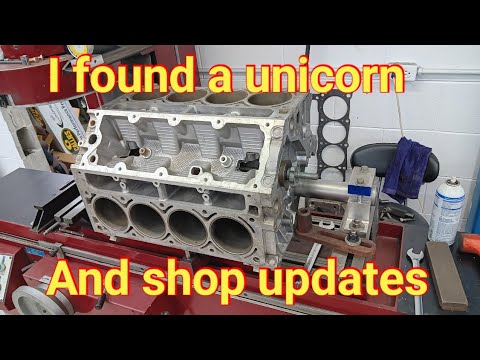 Видео: Я нашел Единорога... и обновления Магазина....