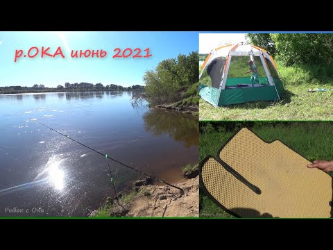 Видео: Семейная Рыбалка с Ночевкой на Оке! Нашёл СОМЯЧЬЕ ЛОГОВО! НАНОКОВРИКИ для ДАСТЕР!