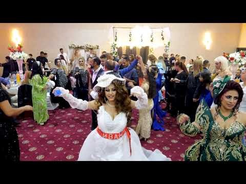 Видео: РИСТЕМ 2025 ЗА АЛЕ