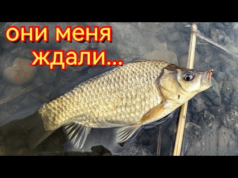 Видео: Мормышинг. Намотал новый шнур и сразу на рыбалку.