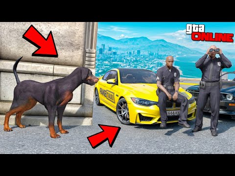 Видео: БИТВА ВОРОВ ПРОТИВ КОПОВ В ГТА 5 ОНЛАЙН! СТАЛ СОБАКОЙ И УГНАЛ ВСЕ ТАЧКИ!