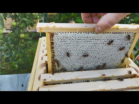 Видео: 13. Семья которая вышла из зимовки на одной полурамке   Часть вторая.