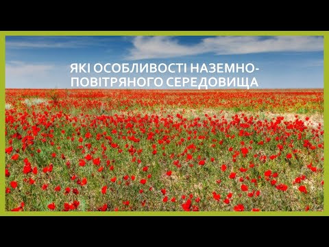 Видео: Які особливості наземно повітряного середовища