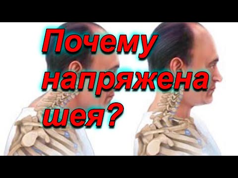 Видео: Причина боли и напряжения в шее.Как плечи влияют на шею.Остеопатия.