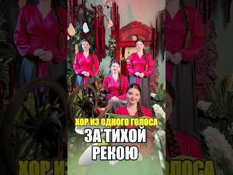 Видео: СПОЕМ ВМЕСТЕ? 🥰❤️ #затихойрекою #хор #песня #музыка #вокал #народнаяпесня