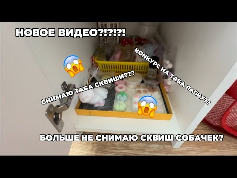 Видео: СКВИШ СОБАЧКИ|ВЕРНУЛАСЬ??