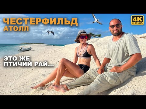 Видео: КАПИТАН ГЕРМАН | ЧЕСТЕРФИЛЬД АТОЛЛ. Абсолютно не обитаем, но это же рай для птиц. Их тут тысячи...