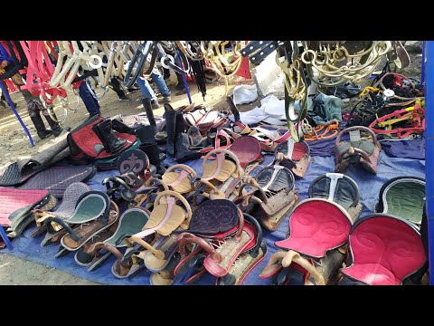 Видео: АТ ЖАБДЫКТАРЫ кандай баада? Билип коюңуз! 🐴 Тез Кабар 👉 1997-серия