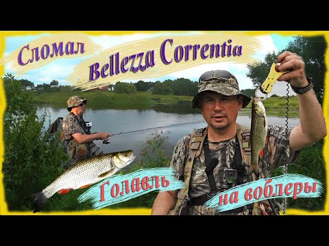 Видео: Сломал Bellezza Correntia. Голавль на Верхней Москве-реке. Ловля на воблеры