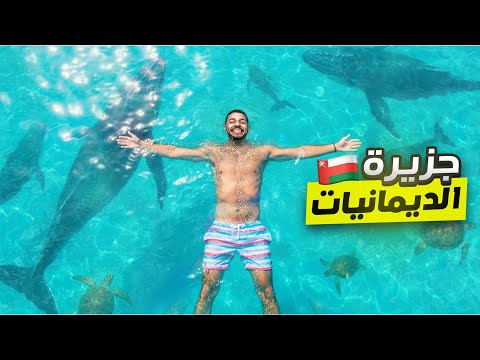 Видео: Приключение на островах Дайманият: плавание с черепахами и поиск акул и дельфинов!🇴🇲