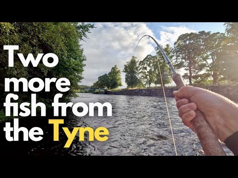 Видео: Ловля морской форели и лосося на реке Тайн