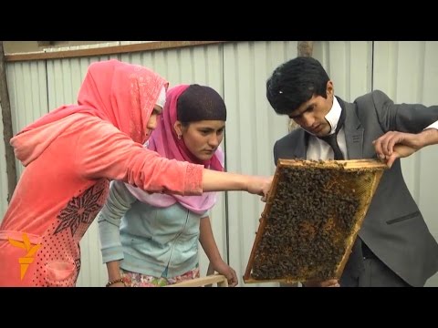 Видео: Дар Тоҷикистон занонро ба замбӯрпарварӣ ташвиқ мекунанд