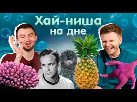 Видео: Поиски Сережи | Аромат Леди Димитреску | Слепые затесты от Полины