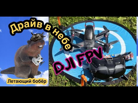 Видео: Квадрокоптер DJI FPV - Драйв