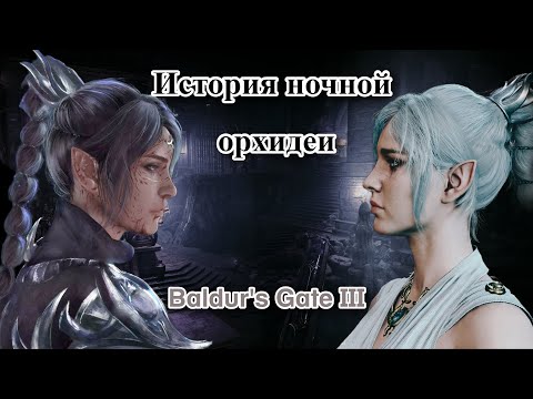 Видео: История Шэдоухарт:  Сюжет, Мотивация, Роман | BALDUR'S GATE 3