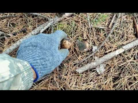 Видео: Полный процесс бурения скважины с воздухом! Бурение Верхнемакарово.