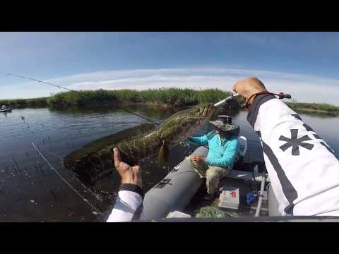 Видео: Михайловские озера ( Змееголов )