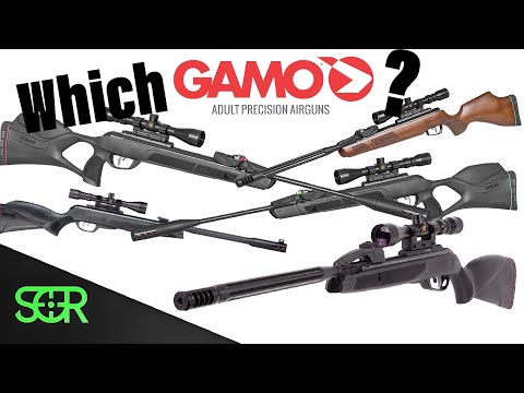 Видео: Какой Gamo Break Barrel стоит купить? Swarm Fusion, Bone Collector Swarm или Magnum 10X
