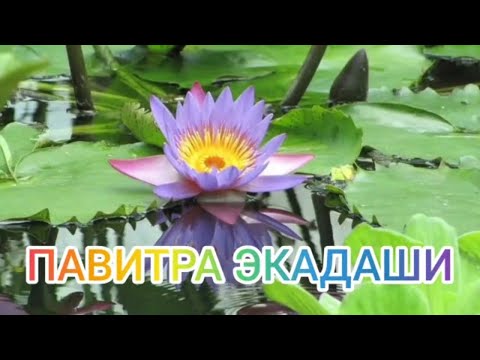 Видео: ПАВИТРА / ШРАВАНА ПУТРАДА / ПАВИТРОПАНА ЭКАДАШИ .