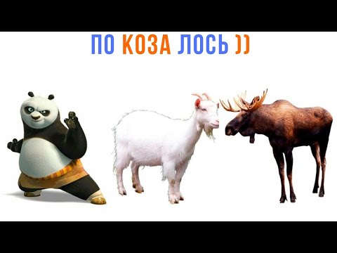 Видео: ПО КОЗА ЛОСЬ ))) | Приколы | Мемозг 1566