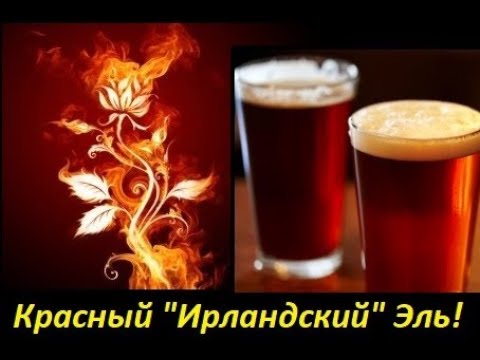 Видео: Красный "Ирландский" эль!