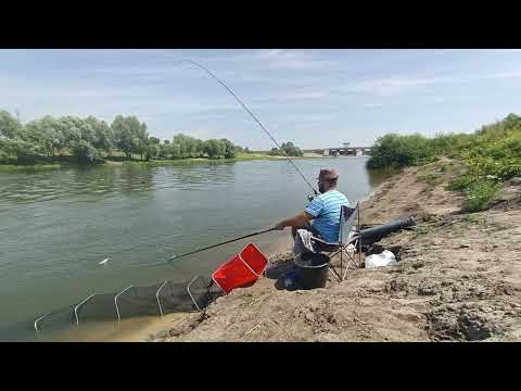 Видео: Рыбалка на водосбросе реки Воронеж