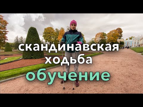 Видео: Техника скандинавской ходьбы в Царском Селе