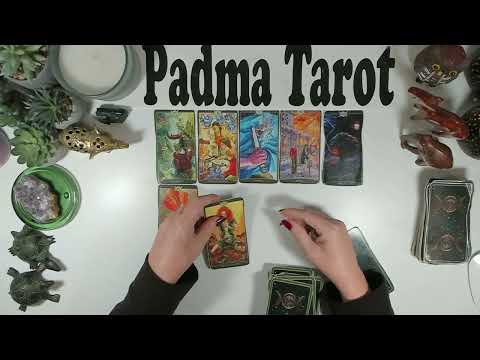 Видео: ЛЕВ♌️СЕКРЕТЫ РАСКРЫТЫ! 10–16 НОЯБРЯ. Еженедельное гадание на картах Таро 🔮💫