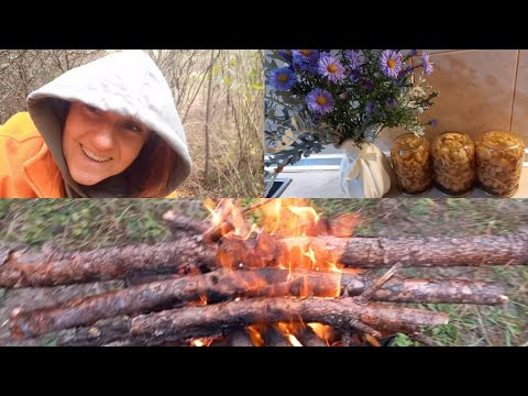 Видео: ЧИ Є ГРИБИ У ВОЛИНСЬКОМУ ЛІСІ.🍄 РЕЦЕПТ МАРИНОВАНИХ ГРИБІВ. 28 вересня 2025 р.