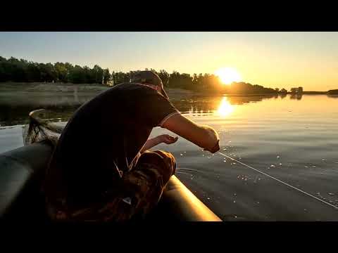 Видео: Рыбалка на Ахтубе, август 2025, часть первая.