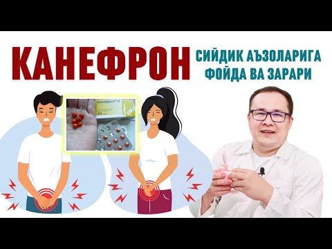 Видео: КАНЕФРОН ФОЙДАСИ, ЗАРАРИ, ҚЎЛЛАШ ҚОИДАСИ, БУЙРАК, ҚУВУҚ, ЦИСТИТ, МИКРОБ ИНСТРУКЦИЯСИ ҲАҚИДА ИСЧАНОВ