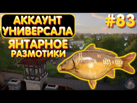 Видео: Аккаунт универсала #83 | Янтарное - размотики | Русская Рыбалка 4