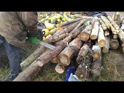 Видео: Заготівля дров.