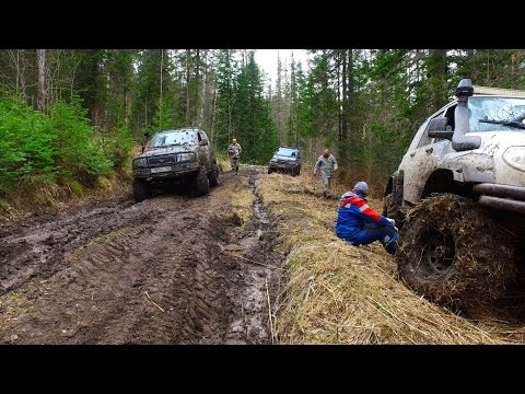 Видео: Легкая дорога ПРЕВРАТИЛАСЬ В АД. Патроводы поникли. УАЗ Патриот, KIA Retona.