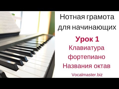 Видео: Нотная грамота для начинающих. Урок 1