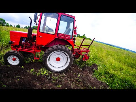 Видео: Трактор Т-25 с плугом Wirax. Пашем поле вокруг картошки заросшее травой.