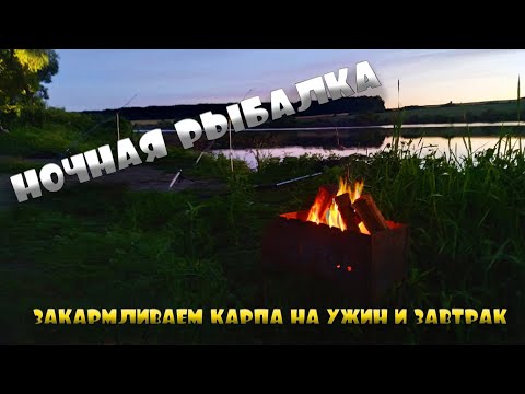 Видео: СУТОЧНАЯ РЫБАЛКА НА ПРУДУ "ГОЛОВИЩИ"КАРПОВАЯ РЫБАЛКА. Вот такой пруд у Звягина.(Воронежская область)