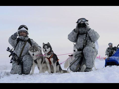 Видео: Кто хозяин Арктики, тот владеет миром.