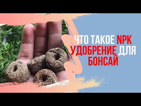 Видео: Что такое NPK и как удобрения влияют на рост бонсай? Bonsai Fertilizer.