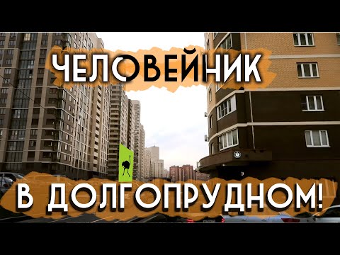 Видео: ДОЛГОПРУДНЫЙ / Курьерские будни Delivery Club