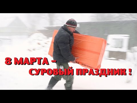 Видео: С трудом ПОМЕНЯЛ ПОЛ к женскому празднику !